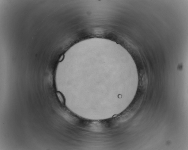 X0000100420562200807032103