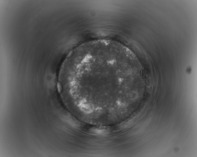 X0000100420563200807032103