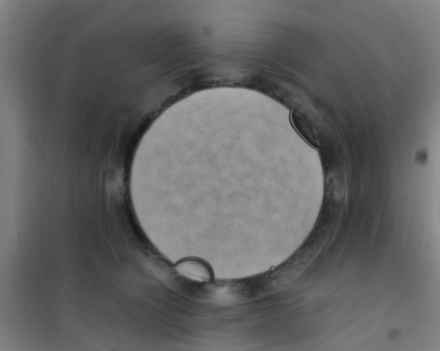 X0000100420564200807032104