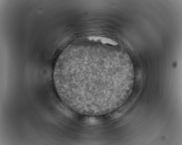 X0000100420565200807032104