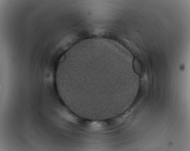 X0000100420566200807032104