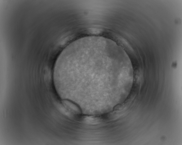 X0000100420568200807032104