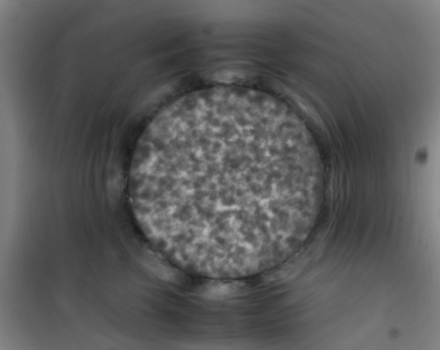 X0000100420569200807032104