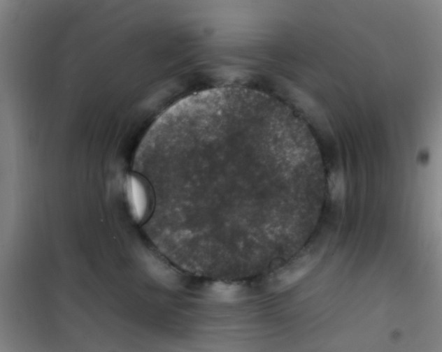 X0000100420570200807032104