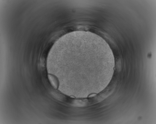 X0000100420571200807032104