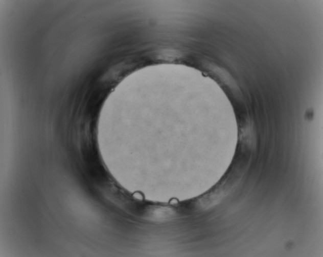 X0000100420572200807032104