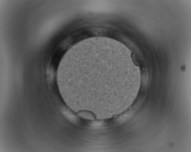 X0000100420574200807032104