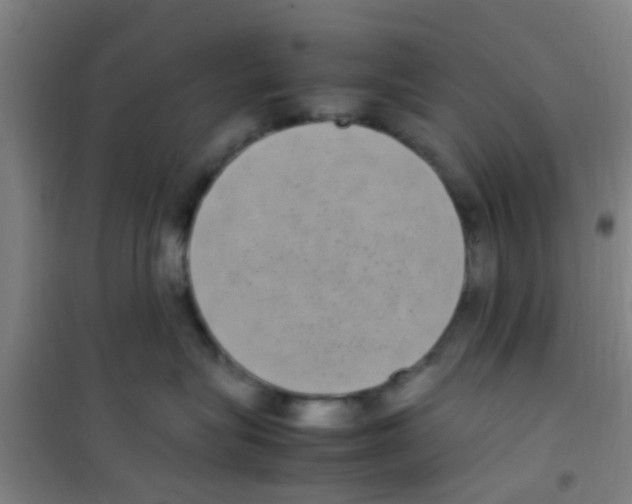 X0000100420575200807032104