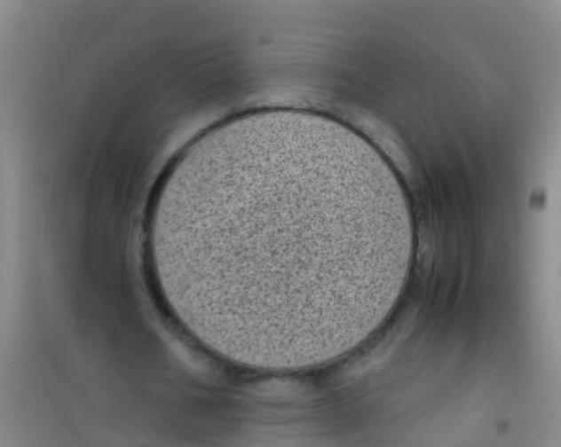 X0000100420578200807032103