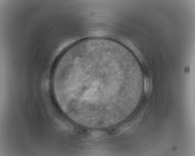 X0000100420579200807032103