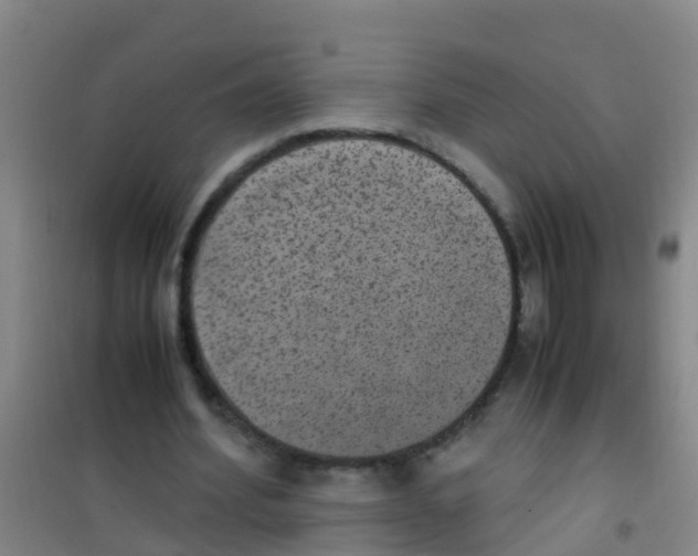 X0000100420580200807032103