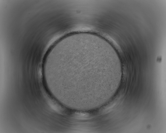 X0000100420582200807032103