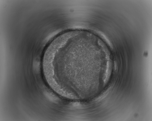 X0000100420588200807032103