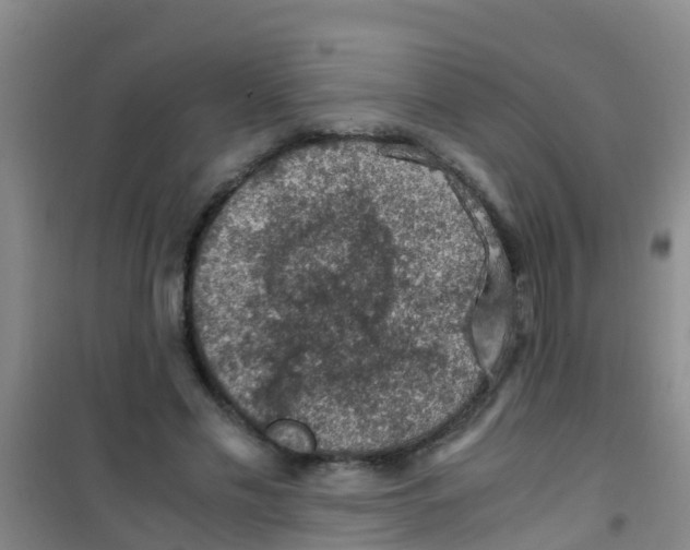 X0000100420589200807032103