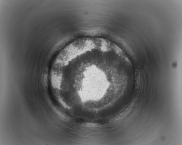 X0000100420590200807032103