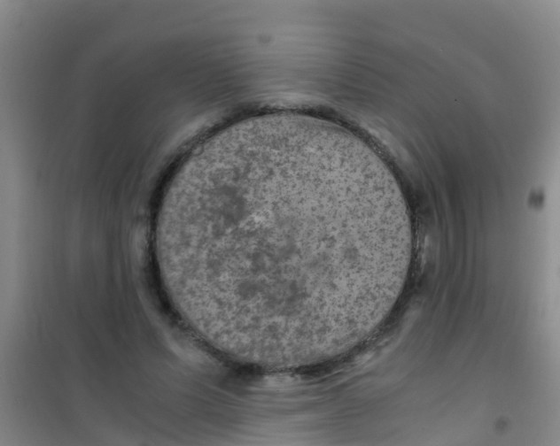 X0000100420591200807032103