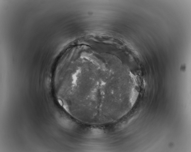 X0000100420592200807032103