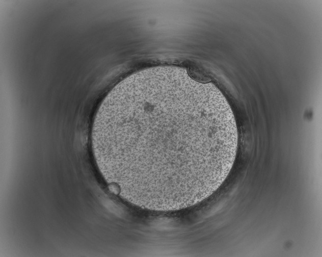 X0000100420593200807032103