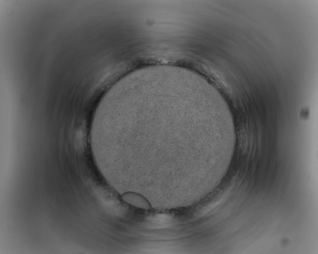 X0000100420594200807032103