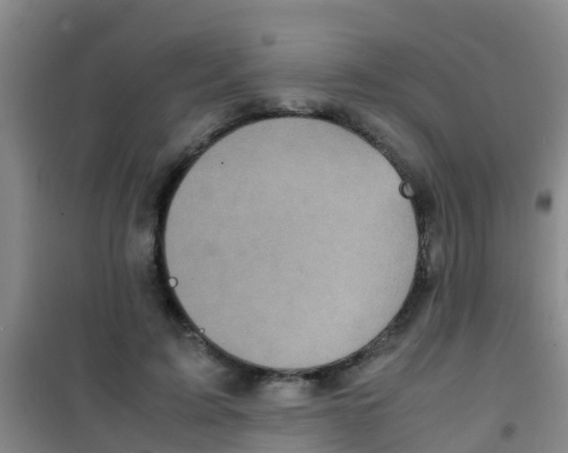 X0000100420595200807032103