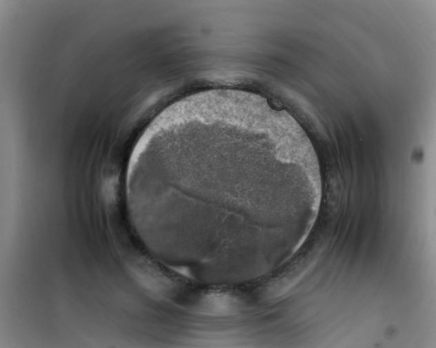 X0000100420596200807032103