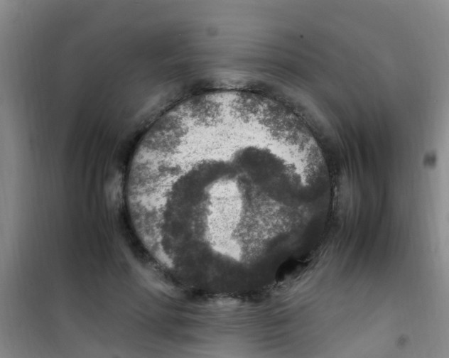 X0000100420598200807032103