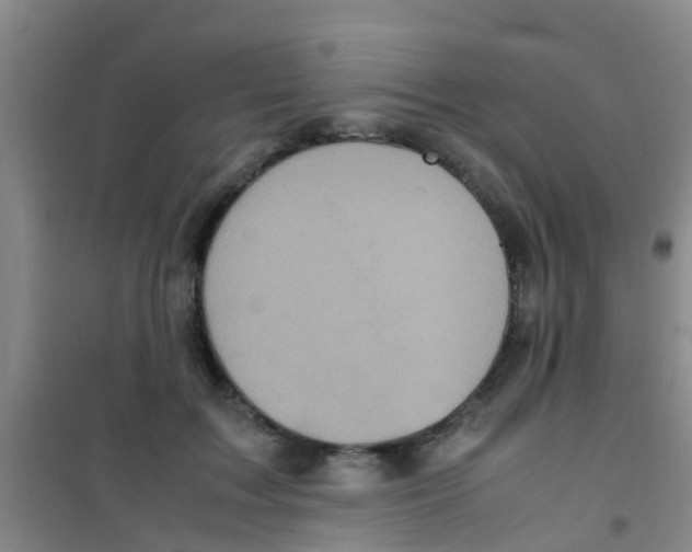 X0000100420603200807032103