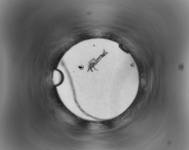 X0000100420605200807032103