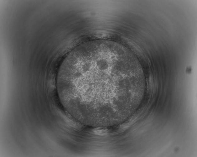 X0000100420606200807032103