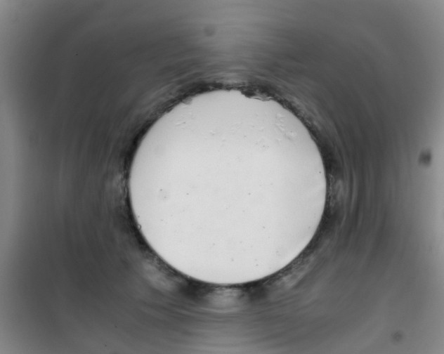 X0000100420609200807032103