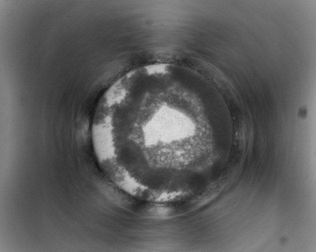 X0000100420610200807032103