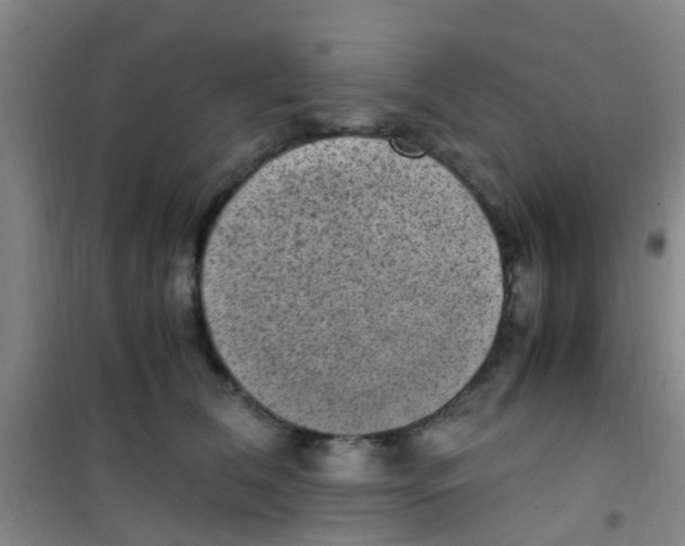 X0000100420612200807032103