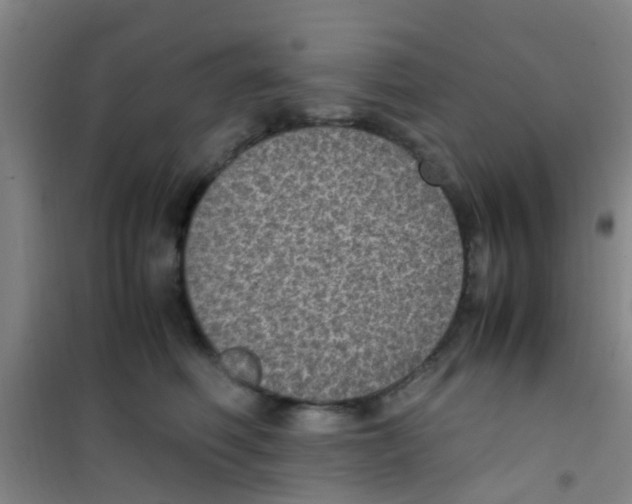 X0000100420614200807032102