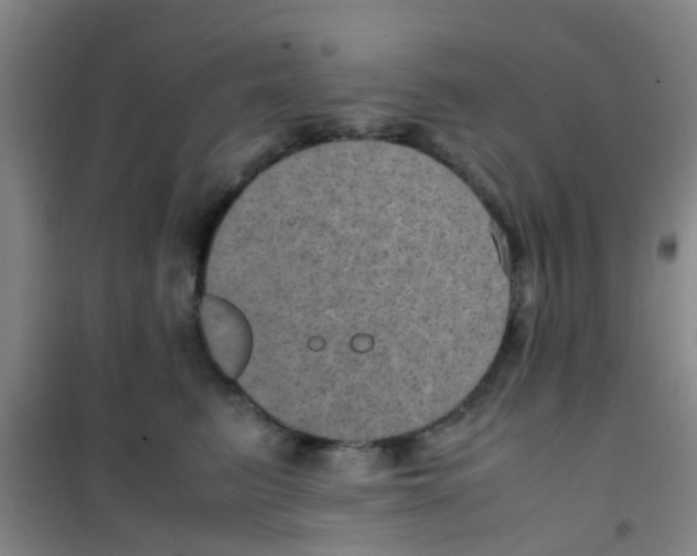 X0000100420615200807032102