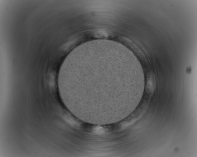 X0000100420616200807032102