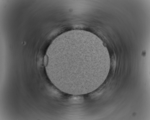 X0000100420619200807032102