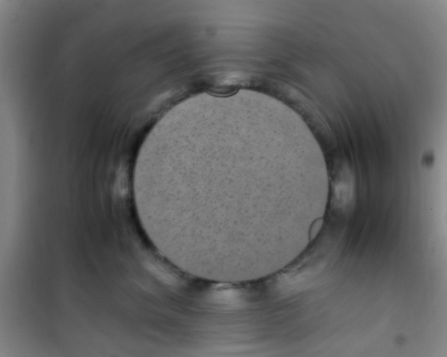 X0000100420620200807032102