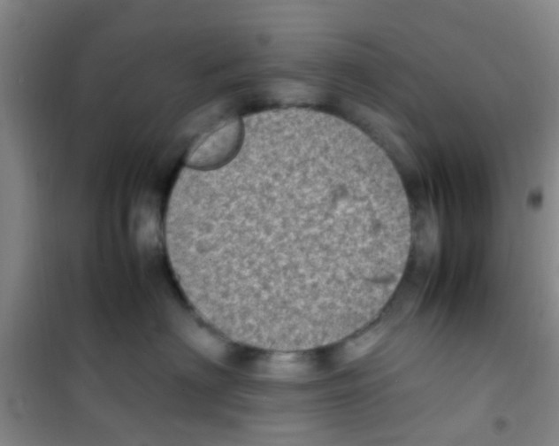 X0000100420622200807032102