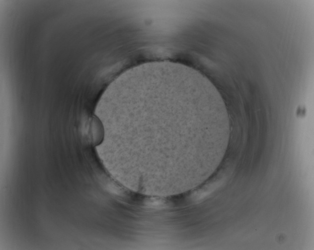 X0000100420624200807032102