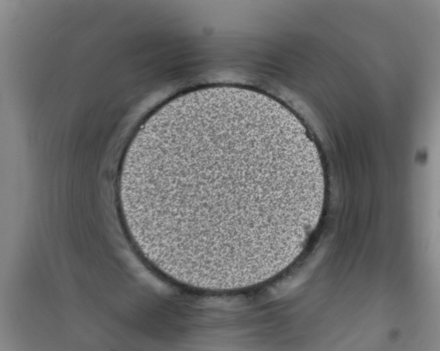 X0000100420625200807032102