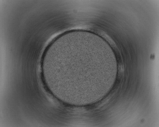 X0000100420628200807032102