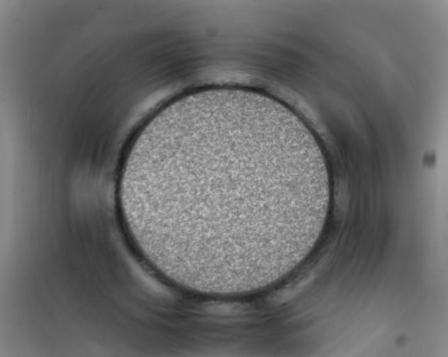 X0000100420629200807032102