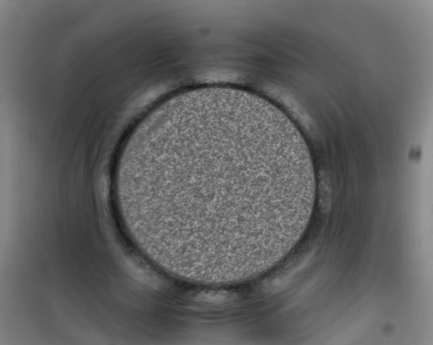 X0000100420631200807032102