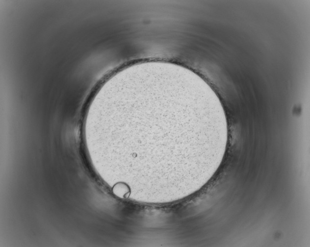 X0000100420632200807032102