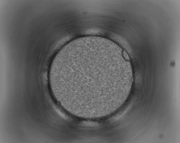 X0000100420633200807032102