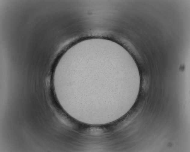 X0000100420636200807032102