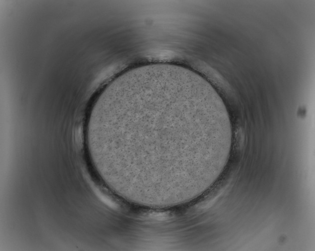 X0000100420638200807032102