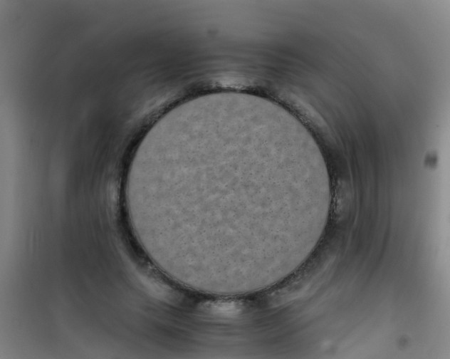 X0000100420639200807032102