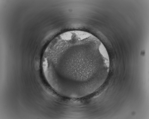 X0000100420640200807032102