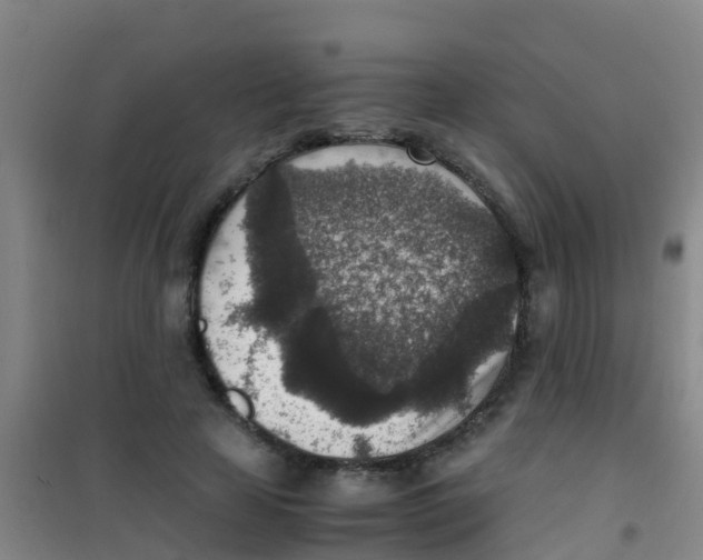 X0000100420641200807032102